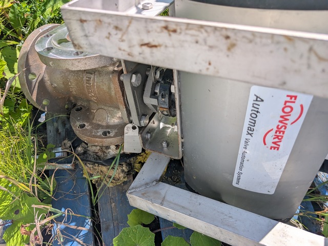 PXL_20250916_161904361 (Copier)